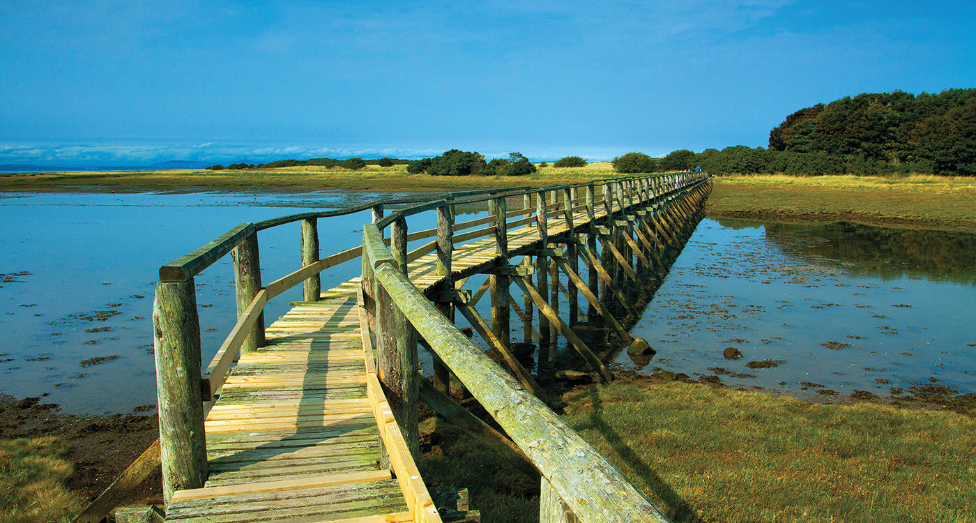 Aberlady Local Nature Reserve, Aberlady Bay, Aberlady, East Lothian
