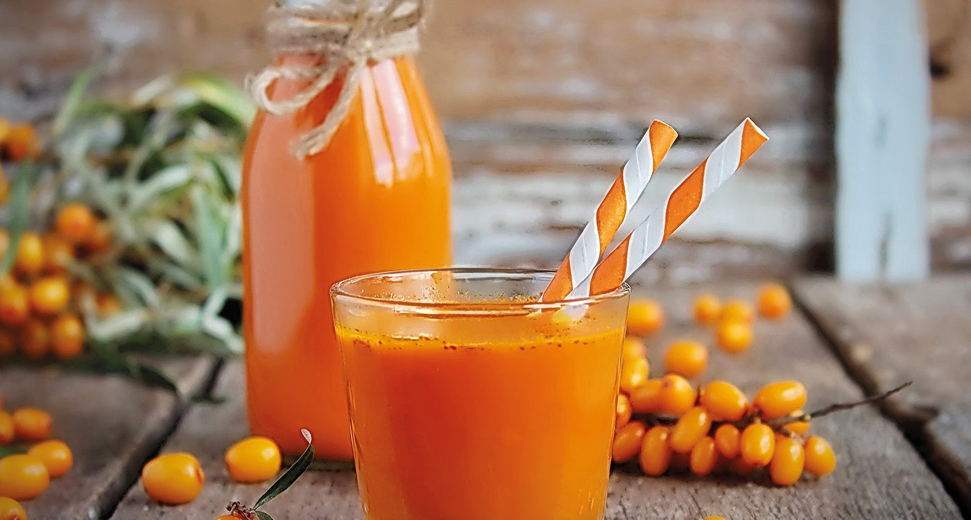 Homemade buckthorn soft drink in a glass and ripe sea buckthorn berries on the table. Healthy and diet food
