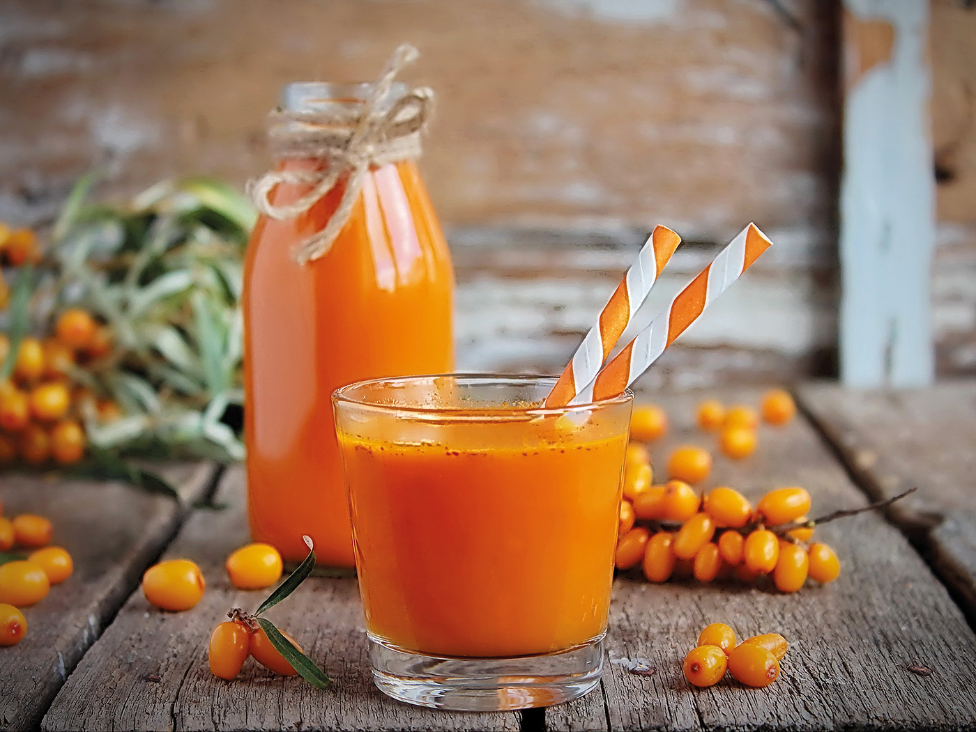 Homemade buckthorn soft drink in a glass and ripe sea buckthorn berries on the table. Healthy and diet food
