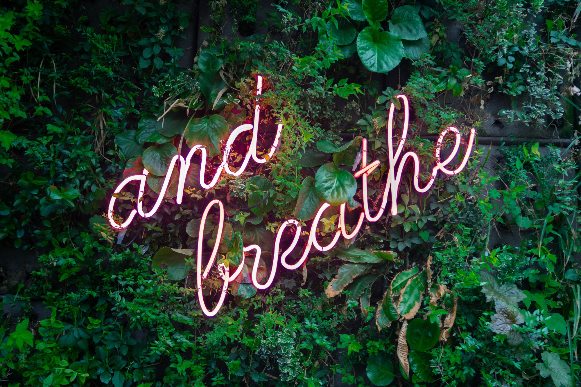 The words and breathe in neon light